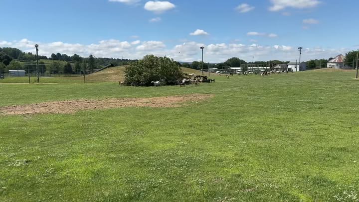 Grim's Orchard & Family Farms