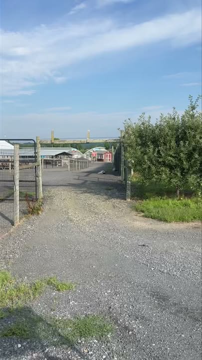 Grim's Orchard & Family Farms